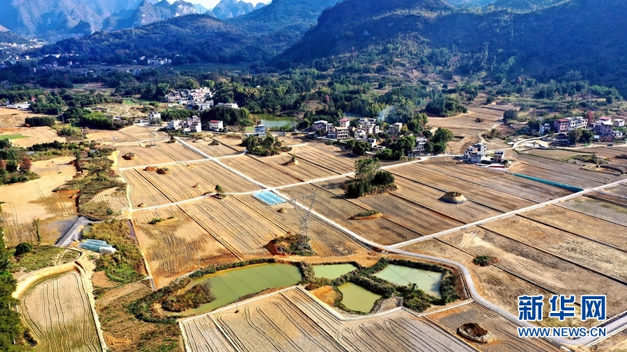 广西河池：田园综合体 新年蕴生机