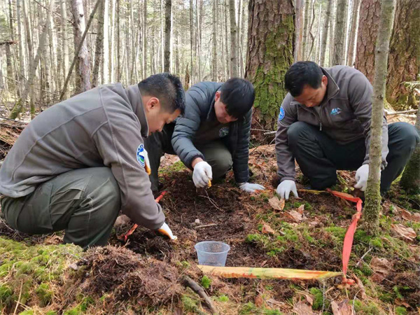 长白山国家级自然保护区入选世界自然保护联盟（IUCN）绿色名录_fororder_微信图片_20221213114520