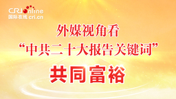 外媒视角看“中共二十大报告关键词”|共同富裕_fororder_鍏卞悓瀵岃_860-484