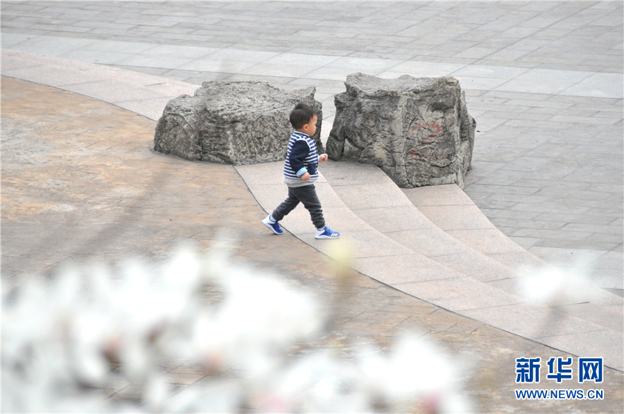 贵阳：春花开 春意浓