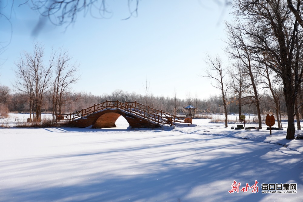 【轮播图】邂逅金塔胡杨林雪景_fororder_7