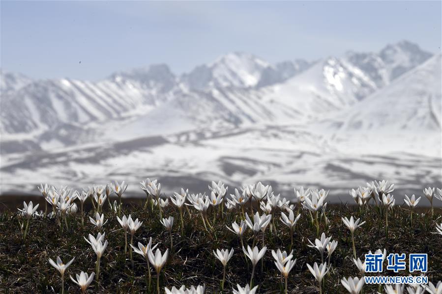 生态中国·壮美山河瞰新疆