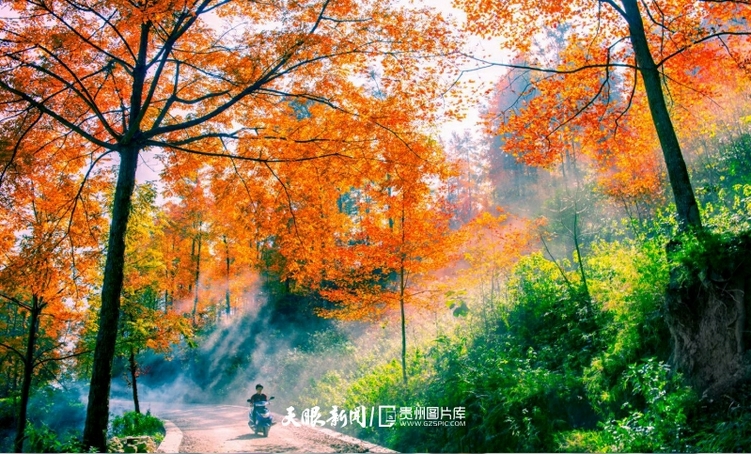 春节游推荐地｜贵州盘州：生态美景彰显“盘州颜值”