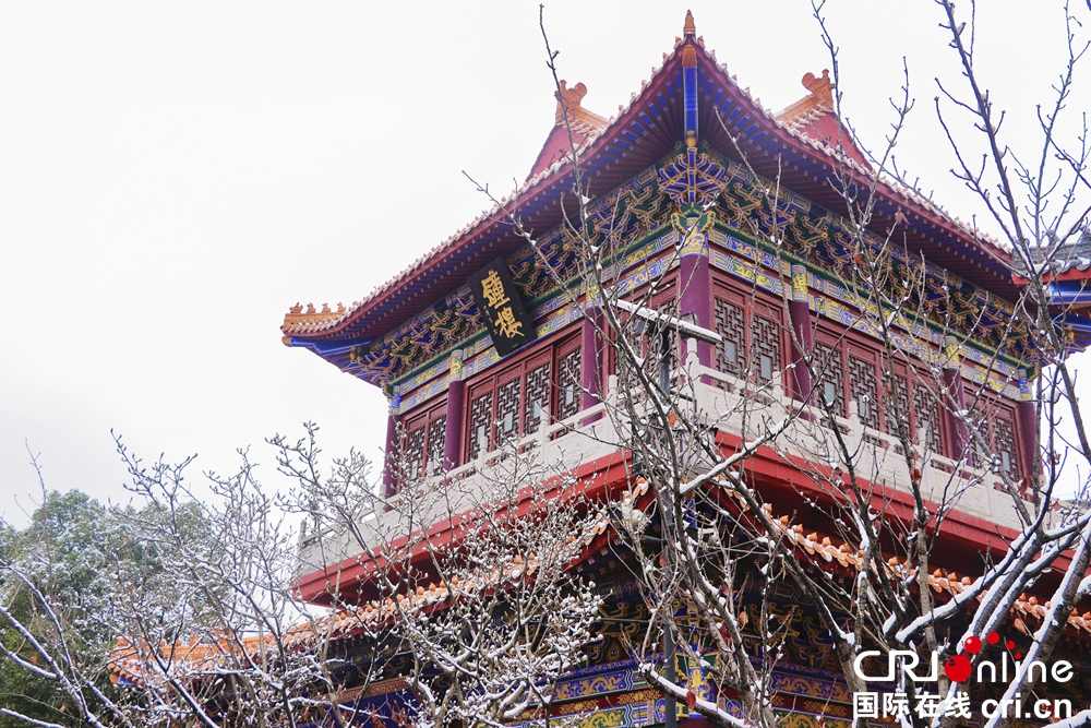 贵州贵阳银装素裹 解锁“雪景模式”_fororder_雪景7