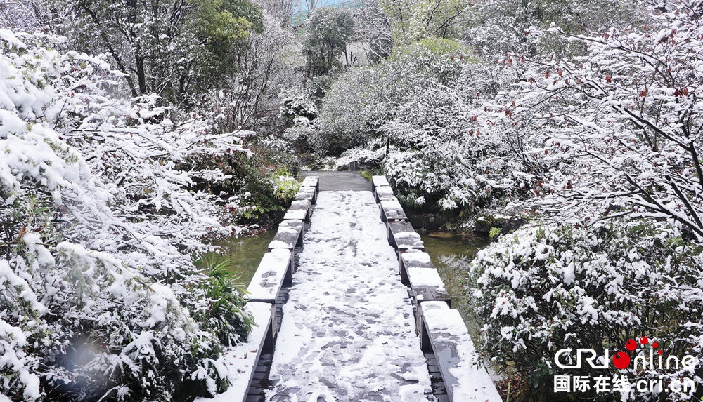 贵州贵阳银装素裹 解锁“雪景模式”_fororder_雪景3