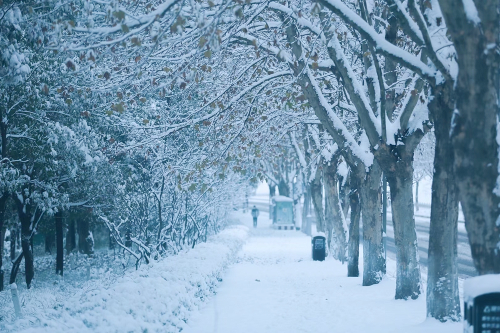 （供稿）贵州多地迎降雪 白色大地景色美_fororder_六盘水1