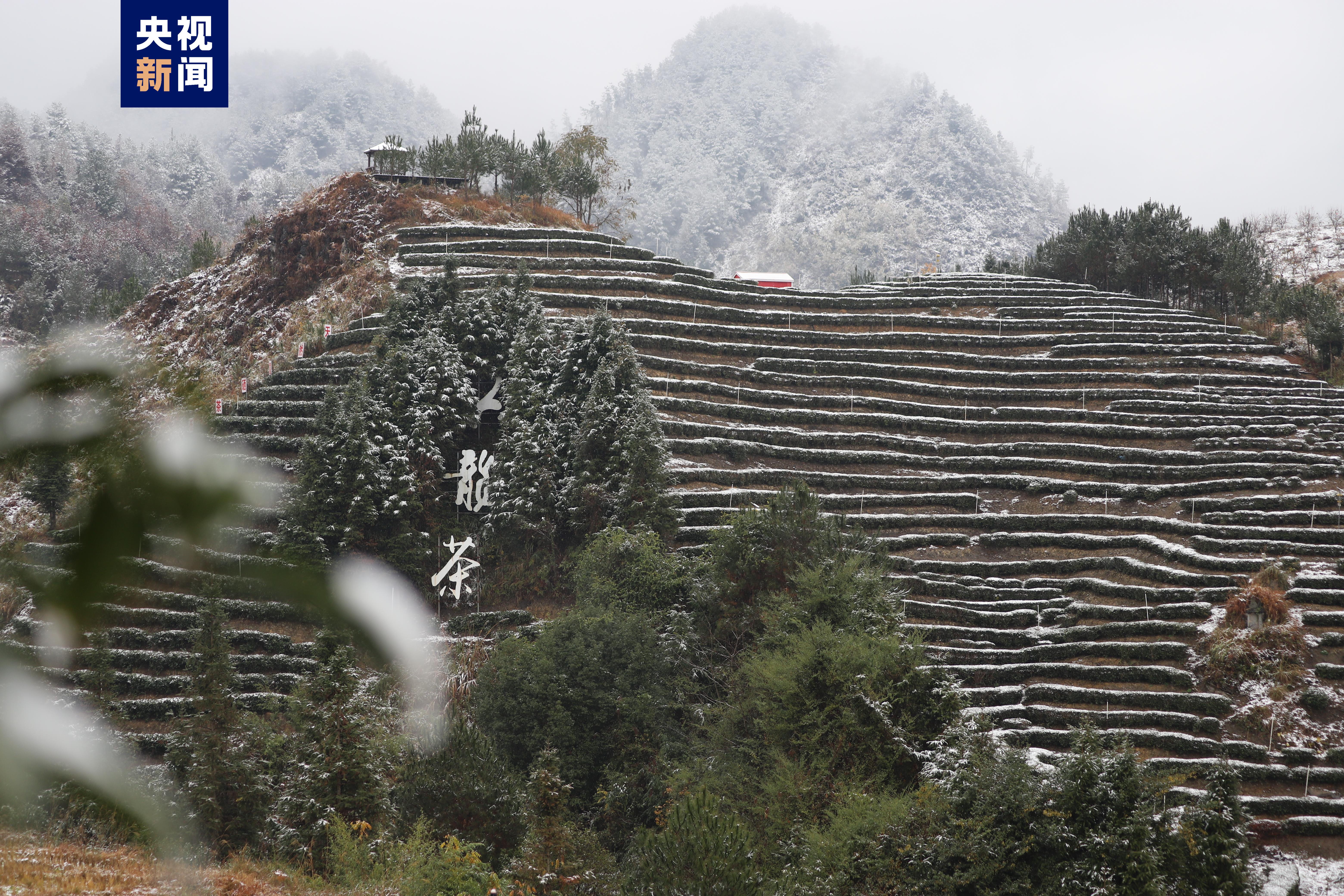 广西多地迎来2022年首场降雪