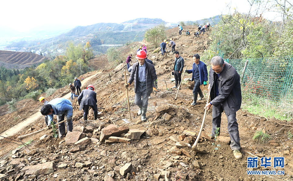 湖北20年累计完成退耕还林工程1775.46万亩