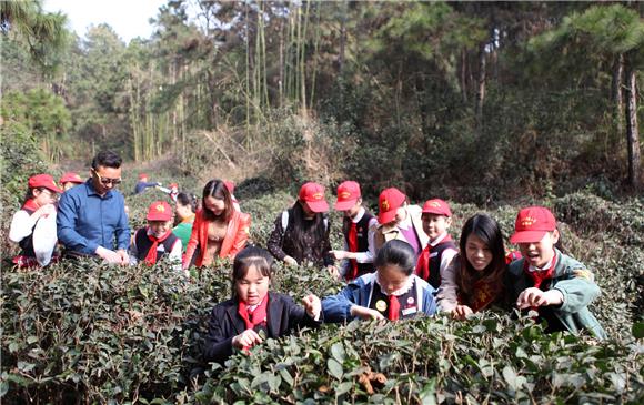 【区县联动】【永川】【区县联动 列表】永川区：爱护大自然 家校在行动