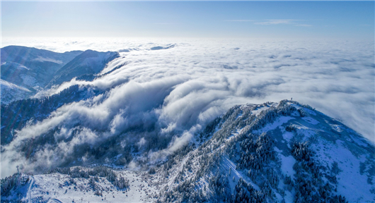 【急稿】【湖北】【客户稿件】湖北神农架景区2019旅游推介会在广州举办