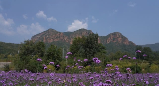 第四届邯郸市旅发大会观摩点之戏曲小镇楼上村