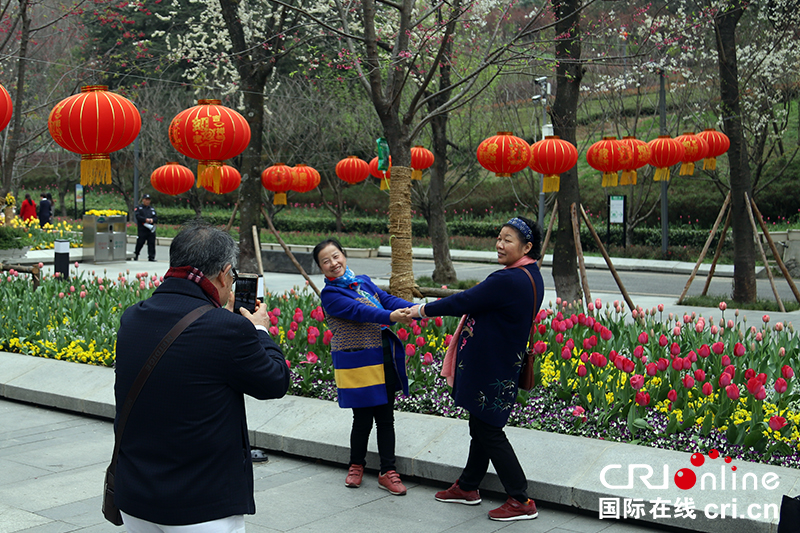 贵州贵阳阿哈湖万余株郁金香争先绽放