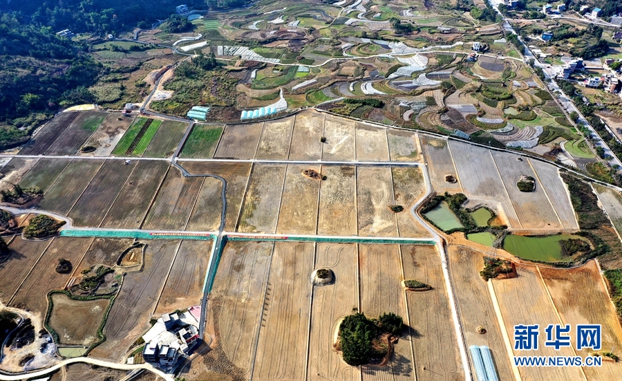 广西河池：田园综合体 新年蕴生机