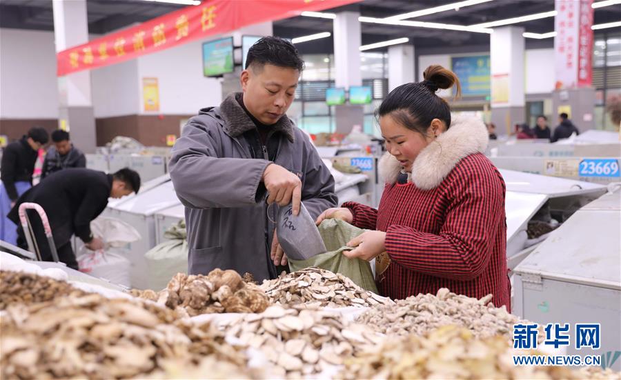 中国（亳州）中药材交易市场开市