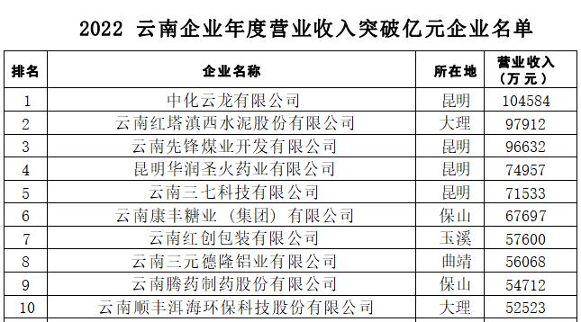 2022云南企业100强_fororder_5