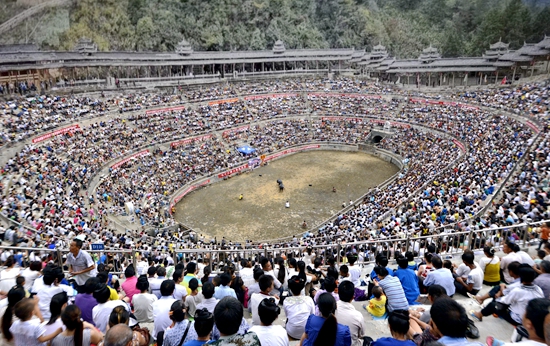 贵州榕江：推动旅游大提质 全力提升旅游品牌影响力_fororder_榕江县乐里七十二寨举办斗牛赛事