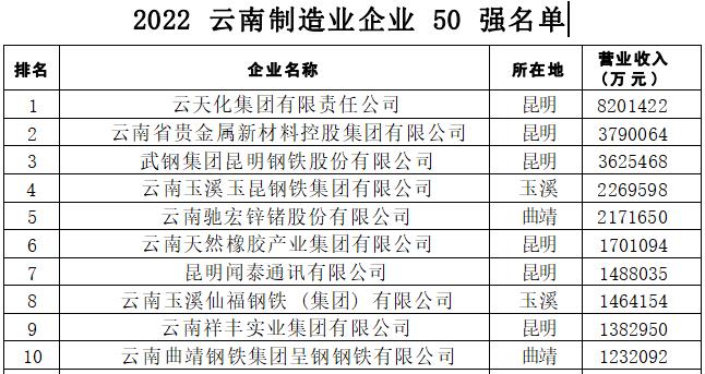 2022云南企业100强_fororder_2