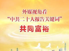 外媒视角看“中共二十大报告关键词”|共同富裕