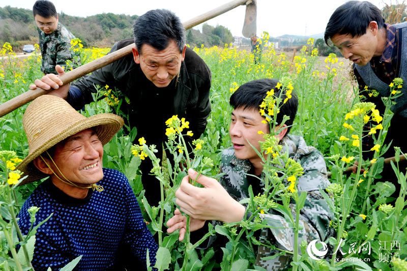 江西鄱阳：惊蛰到农事忙