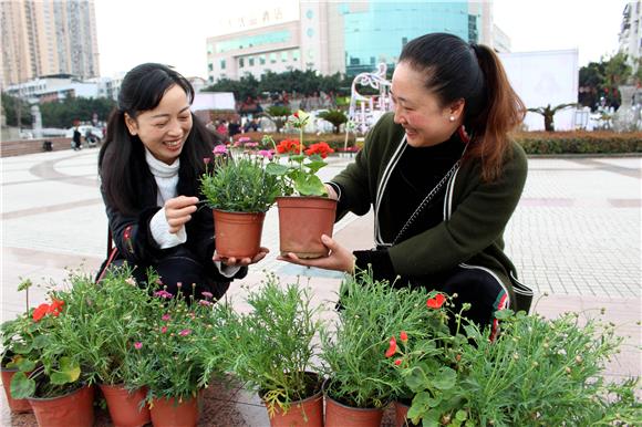 【区县联动】【大足】【区县联动 列表】大足城管志愿者“万盆鲜花赠市民”