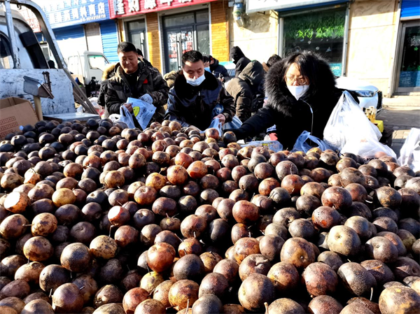 赶大集 买年货 延吉朝阳川大集年味浓_fororder_市民们在挑选北方特有的冻梨 摄影 王晓彤