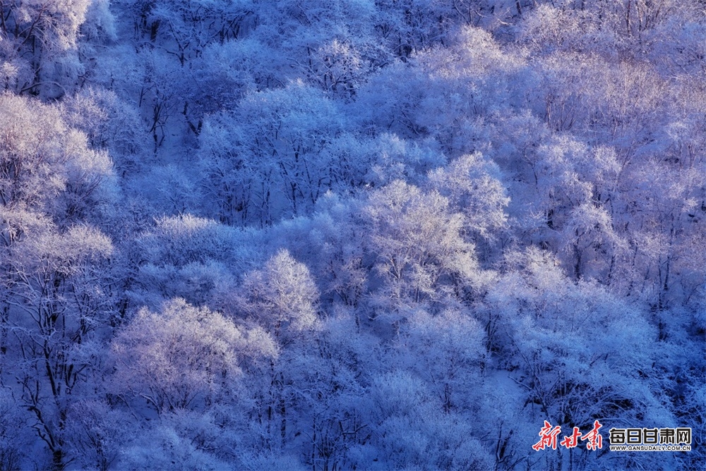 【平凉】平凉：快来欣赏华亭莲花台的春雪_fororder_5