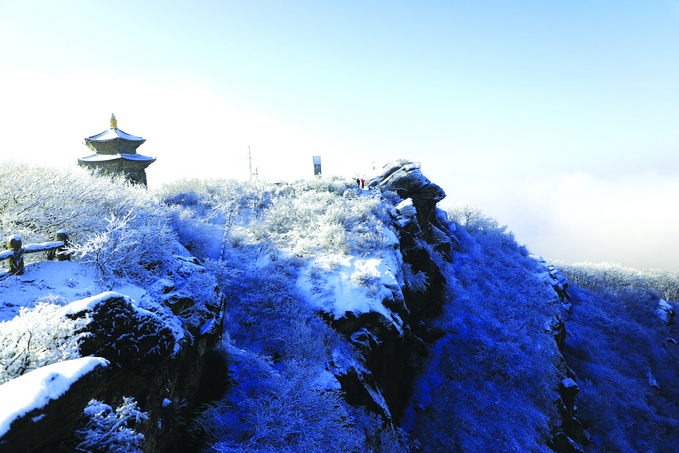 连云港：兔年首雪 宛若仙境