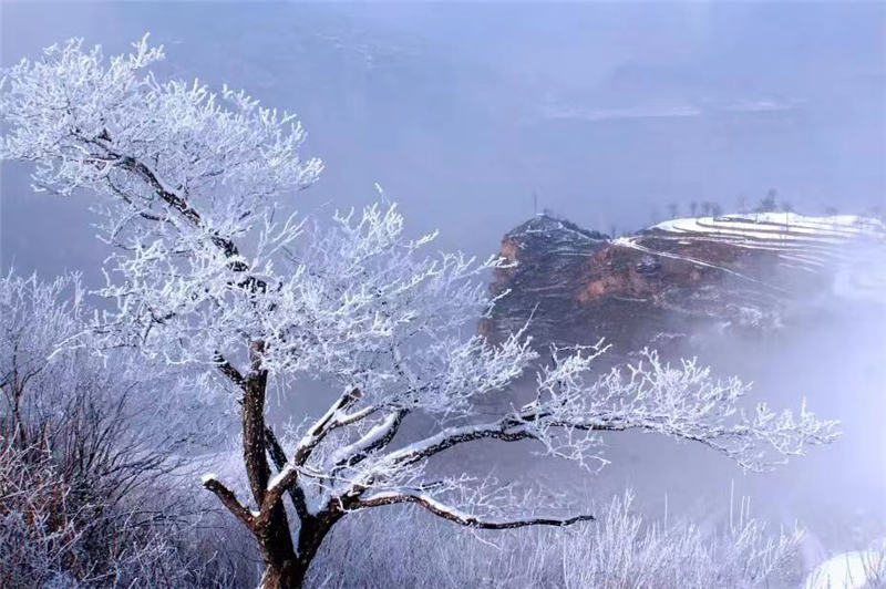 安阳林州：春雪落太行 风景美如画_fororder_图片3