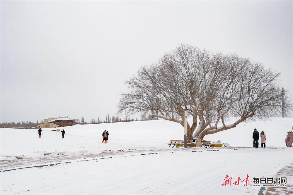 酒泉：瑞雪迎新春 敦煌景如画_fororder_8