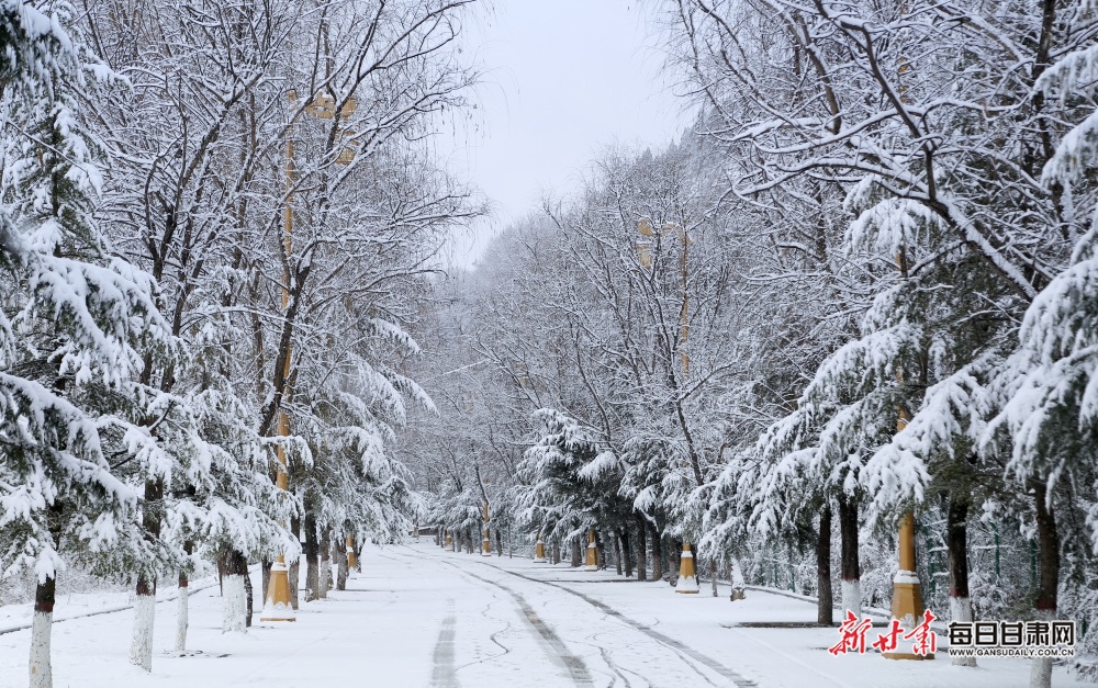 【轮播】瑞雪兆丰年 崇信雪景美_fororder_2222