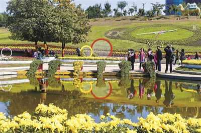 沈阳市植物园（沈阳世博园）举办第十九届菊花文化节