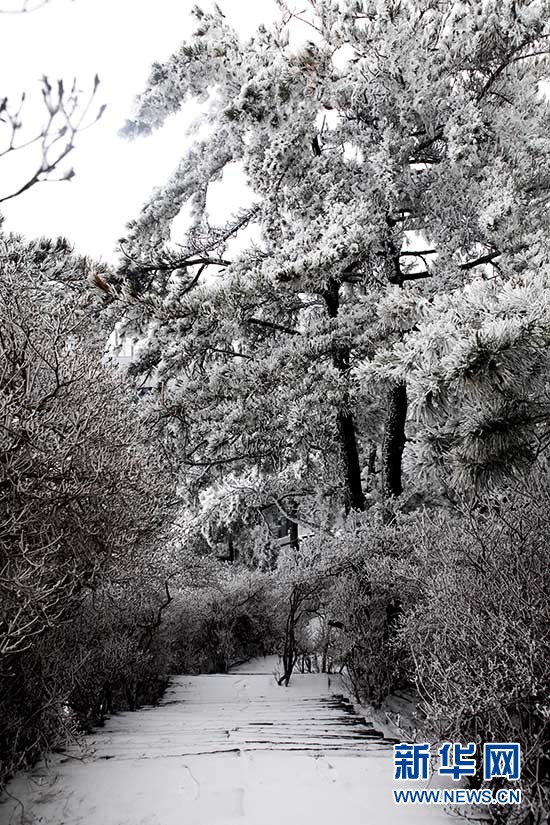 湖北麻城龟峰山春雪雾凇若水墨