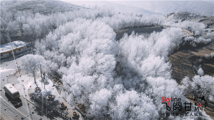 【兰州】兰州榆中山乡现雾凇：冰洁雾饶珠帘垂 玉树琼枝轻摇曳_fororder_2