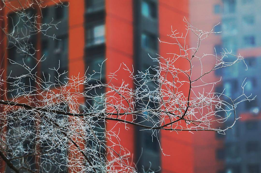 当“雨水”邂逅风雪！沈阳，美得让人猝不及防