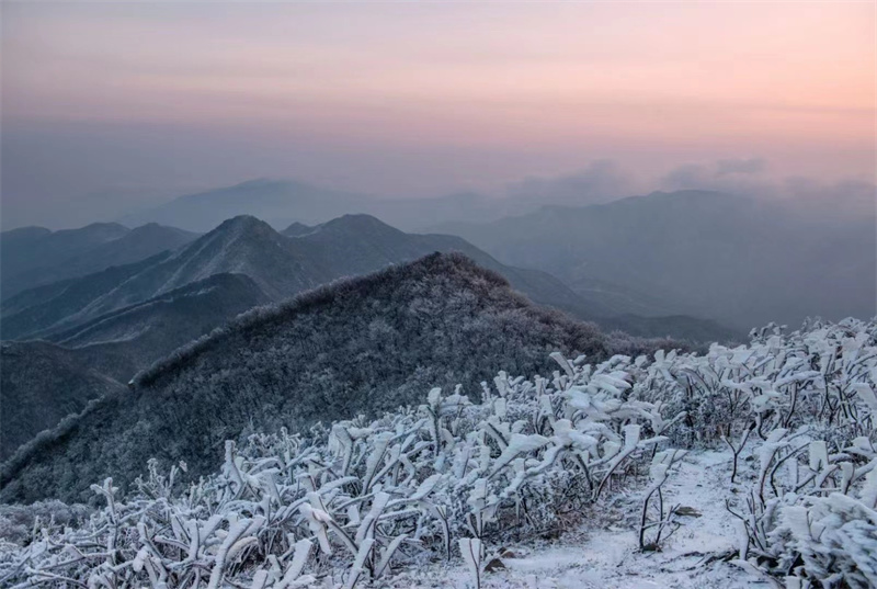 【原创】信阳新县：初春雾凇惹人醉_fororder_雾凇的装扮下，山峦千姿百态 （党智华 摄）