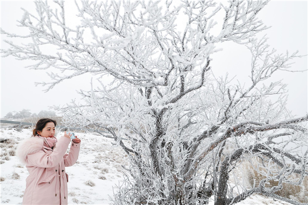 神农架跻身全国热门滑雪场前十  “华中屋脊”冰雪游 一路飞歌一路嗨_fororder_03