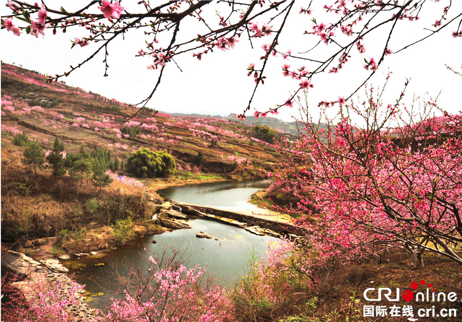 已过审【CRI专稿 图文】重庆市农委推出73条乡村春季旅游主打线路【内容页标题】踏青赏花好去处 重庆市农委推出73条乡村春季踏青赏花主打线路