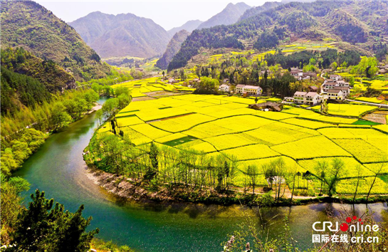 （上一个作废）【三秦大地 汉中+移动列表】2018中国最美油菜花海汉中旅游文化节将于3月18日在勉县启动