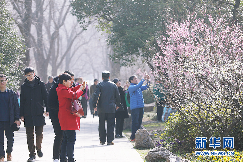 梅花枝头春意闹 香飘万里迎客来