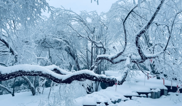 【原创】重庆南天湖：玩雪正当时_fororder_微信图片_20230126144827