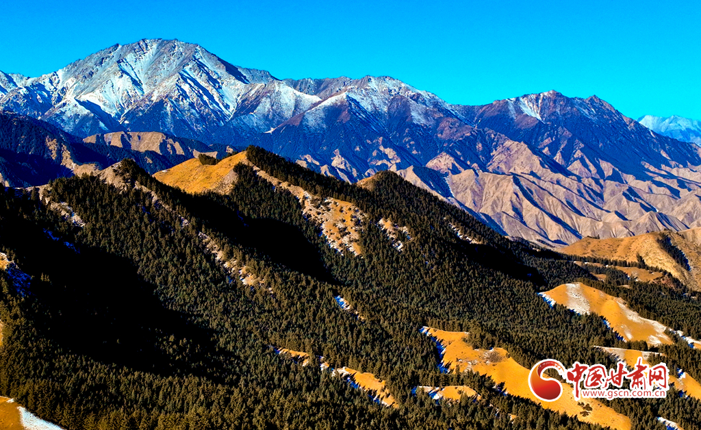 【轮播】甘肃张掖：雪映青山 祁连美景入画来_fororder_1