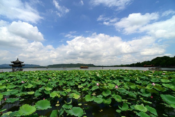 南方多地高温贯穿8月中旬 有记录来首次