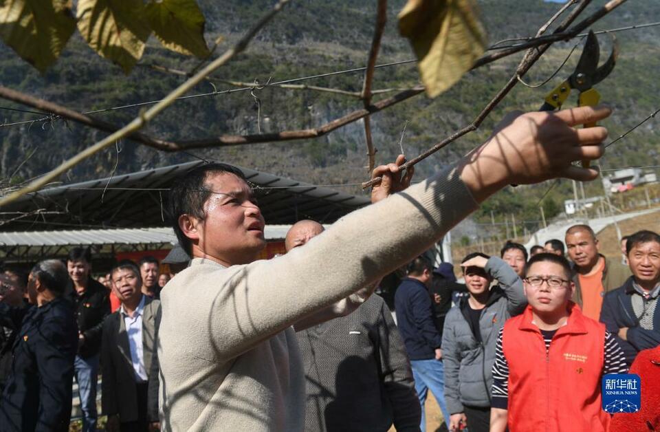 广西：人勤春来早