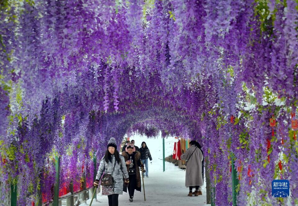 古风盛宴洛阳城 汉装踏雪老君山——古都洛阳文旅产业复苏“新图景”