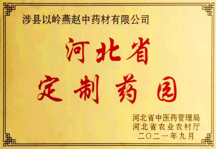 在希望的田野上，以岭药业中药质量从源头抓起