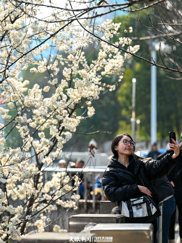 贵阳：莫道春来晚 赏花正当时