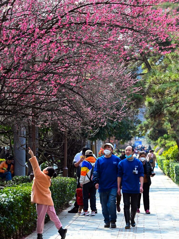 贵阳：莫道春来晚 赏花正当时