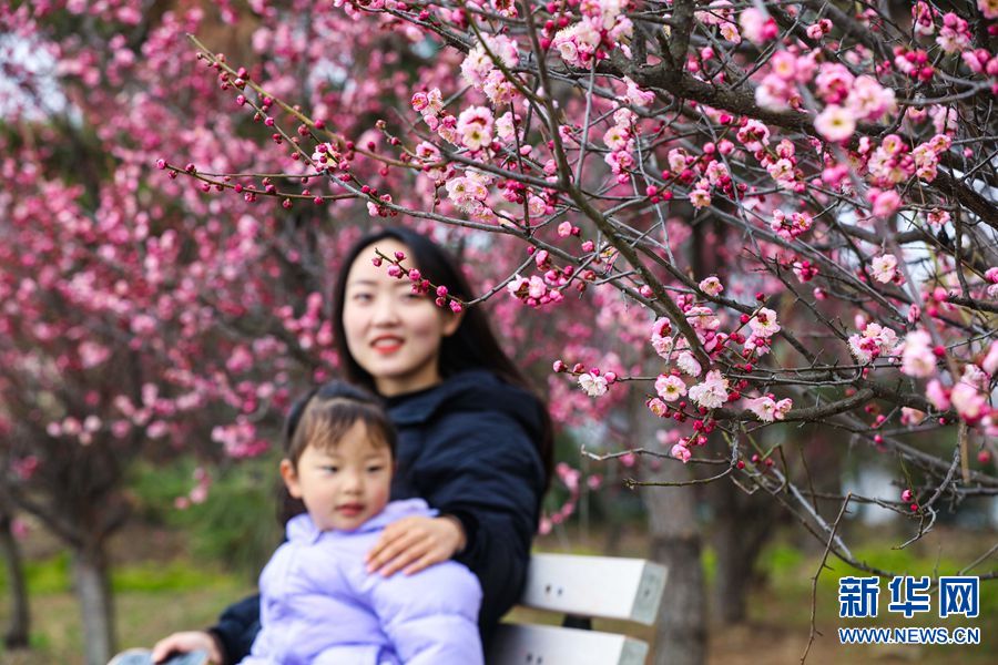 信阳光山： 春有约 花不负