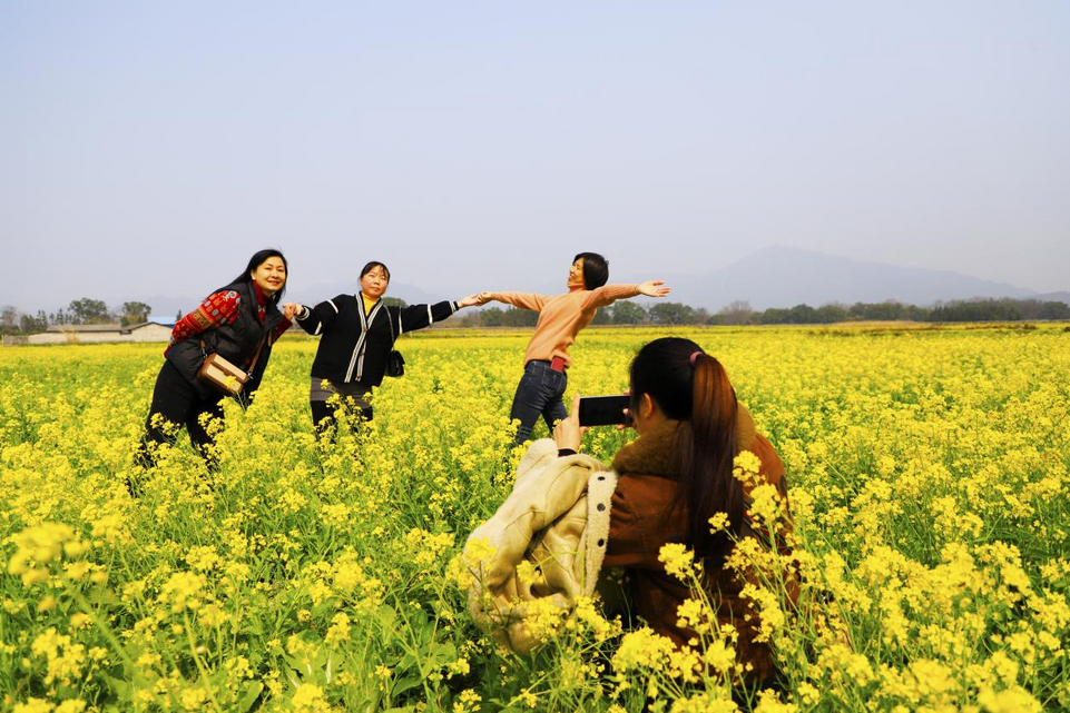 桂林灵川：油菜花开春意浓 踏青赏花正当时_fororder_图片12