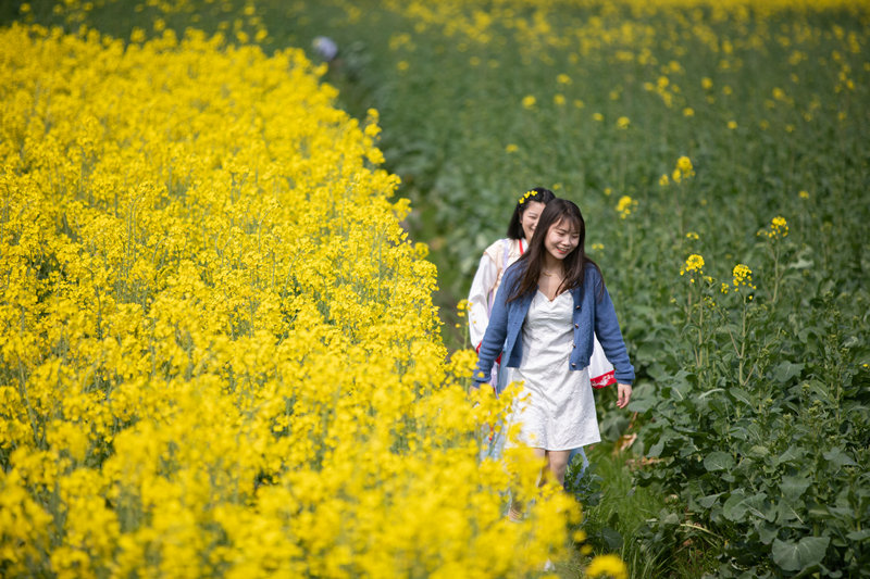 【城市远洋】重庆秀山：踏青赏花享春光_fororder_LOCAL16775694109898TJ4FDJBLR